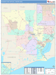 Beaumont-Port Arthur Metro Area Wall Map Color Cast Style